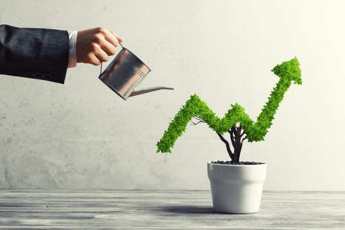accountants for business growth